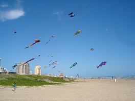 Padre Island Beach kites